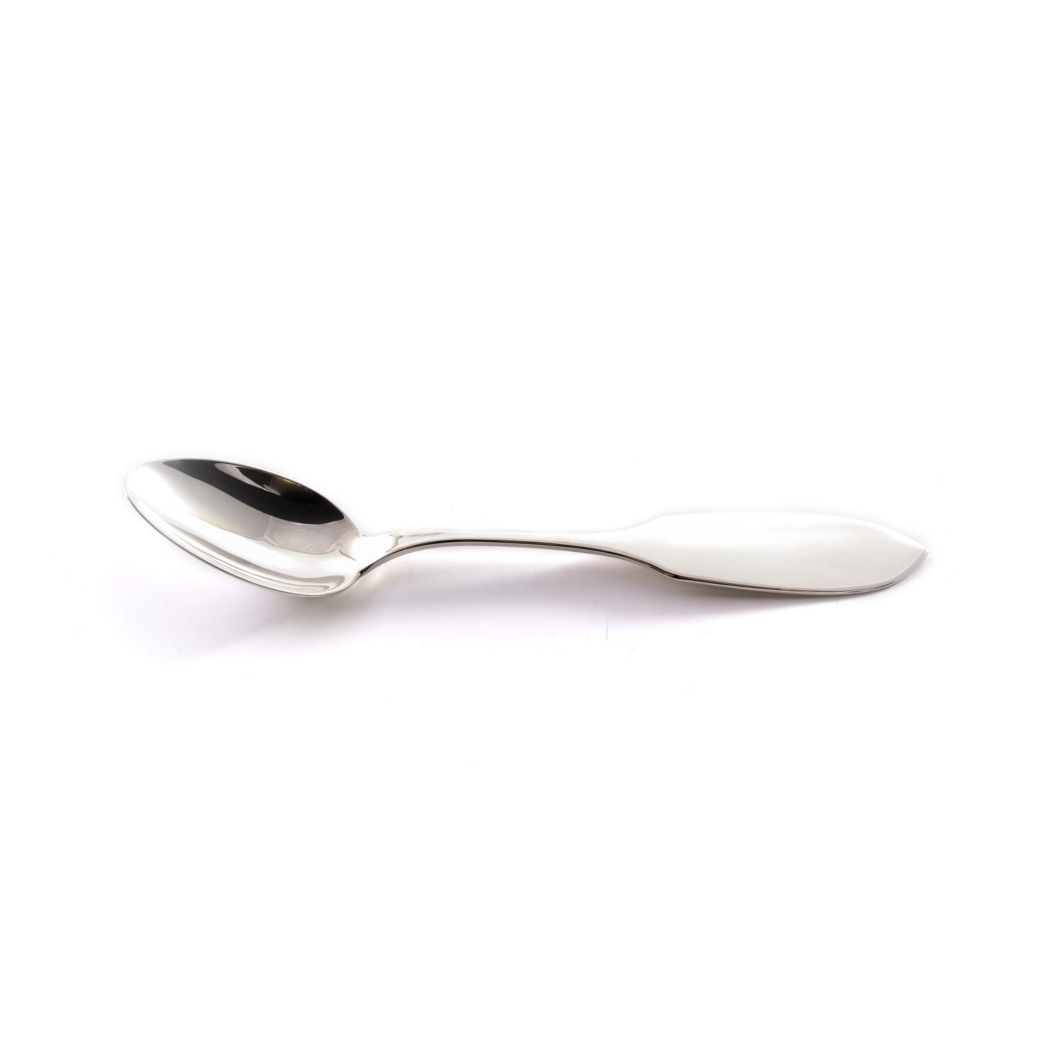 Sleek and glossy silver spoon