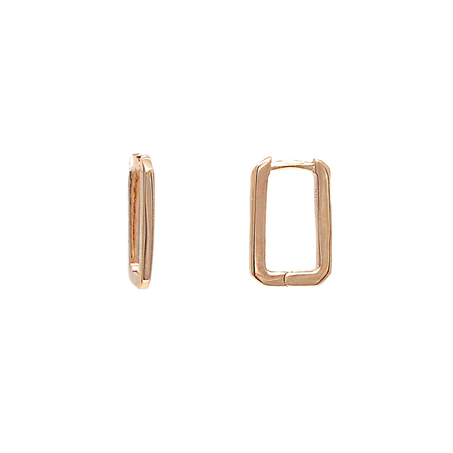 Gold plated earrings