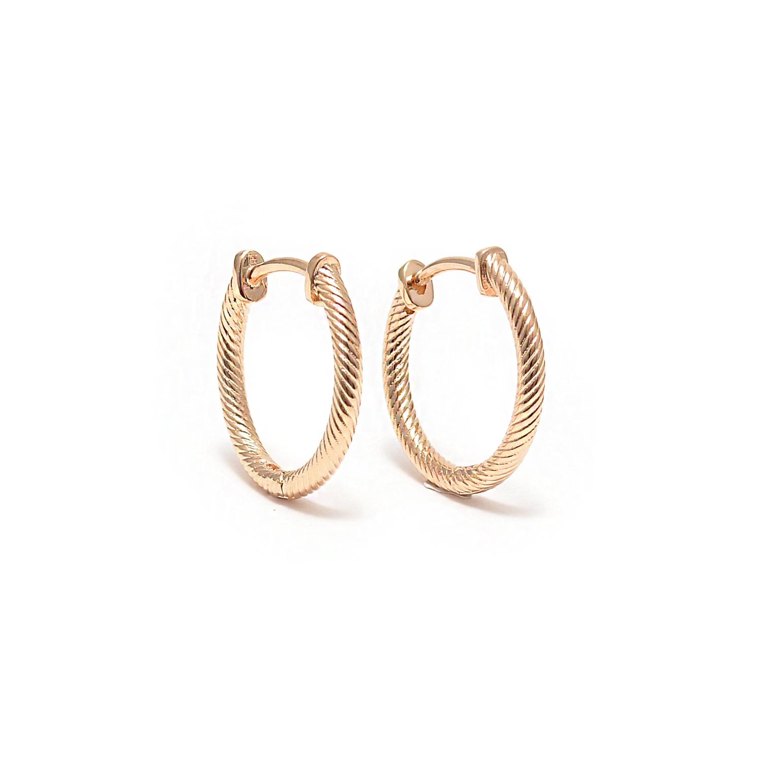 Gold plated earrings